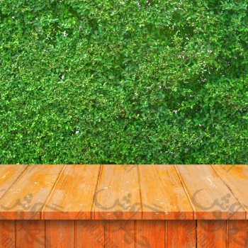 Mockup Background 025